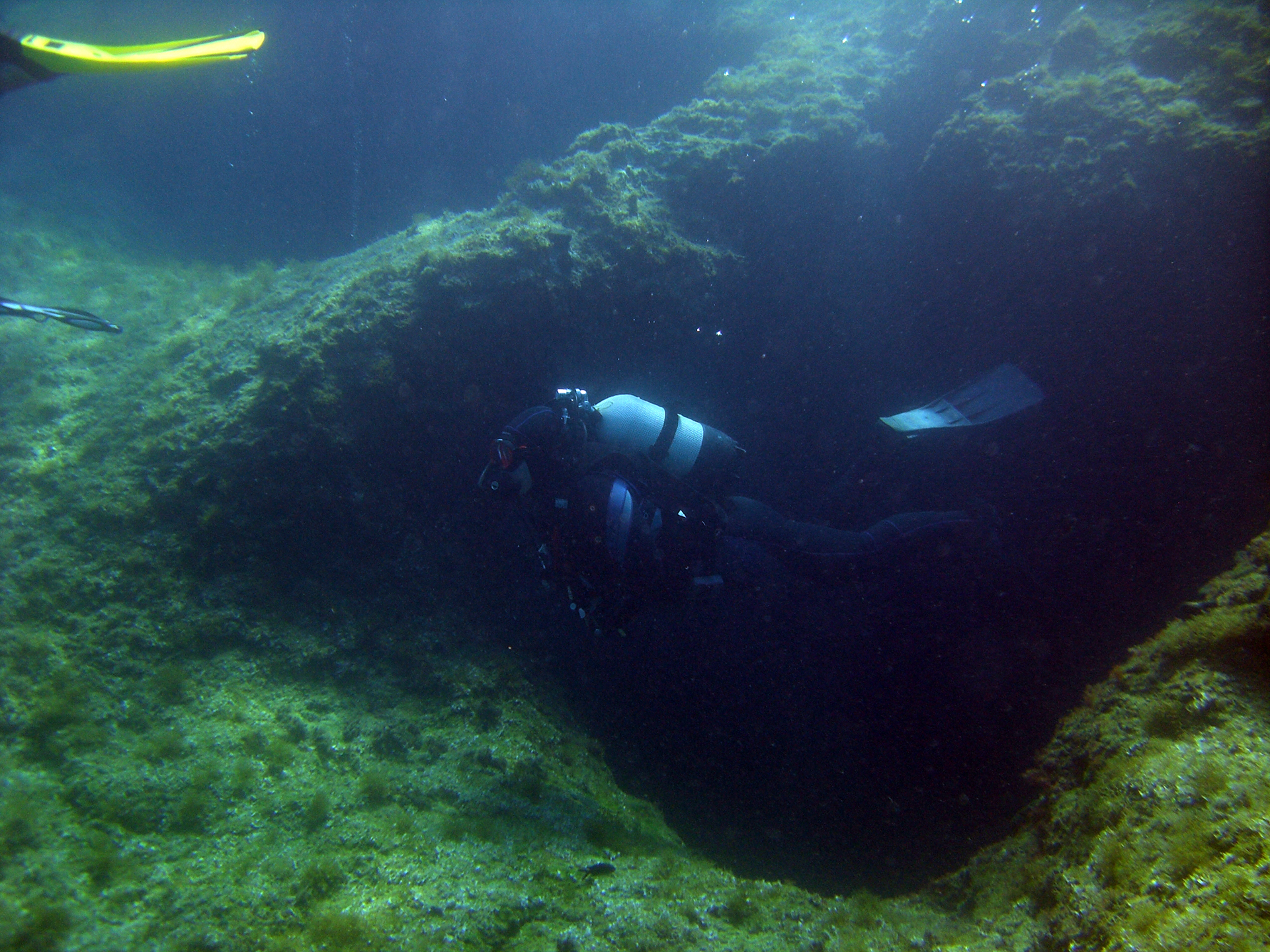 Taucher beim Erkunden eines Korallenriffs
